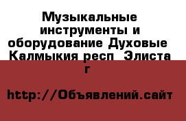 Музыкальные инструменты и оборудование Духовые. Калмыкия респ.,Элиста г.